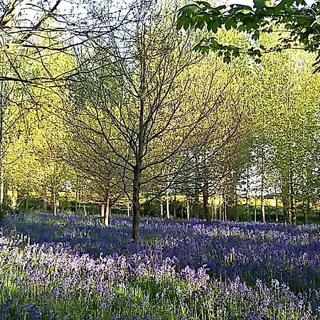 Hollicarrs - Newlands York