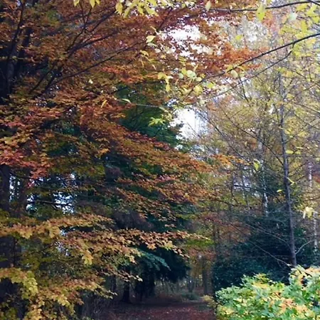 Lodge Hollicarrs - Newlands York