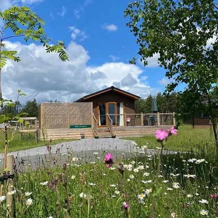 Hollicarrs - Newlands Lodge *