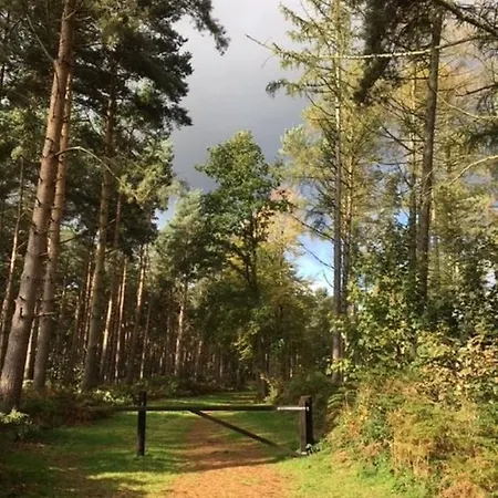 ロッジ Hollicarrs - Newlands