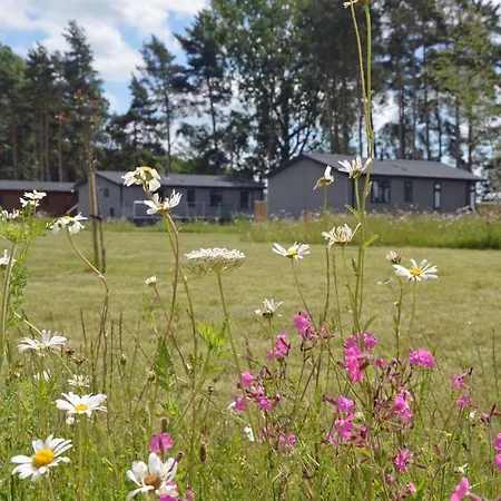 Hollicarrs - Newlands * ヨーク