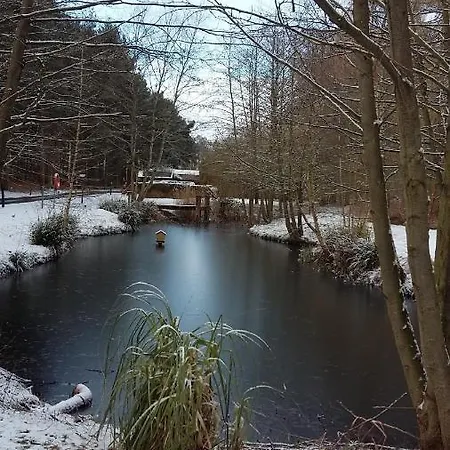 ロッジ Hollicarrs - Newlands ヨーク