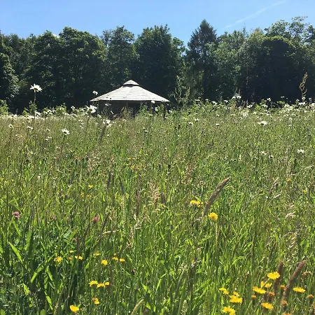 Hollicarrs - Newlands *