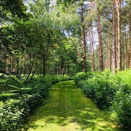 ロッジ Hollicarrs - Newlands