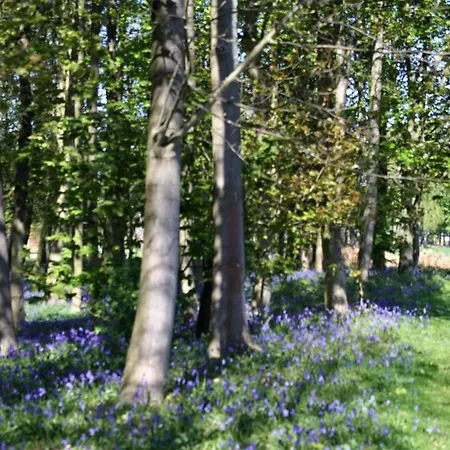 ロッジ Hollicarrs - Newlands