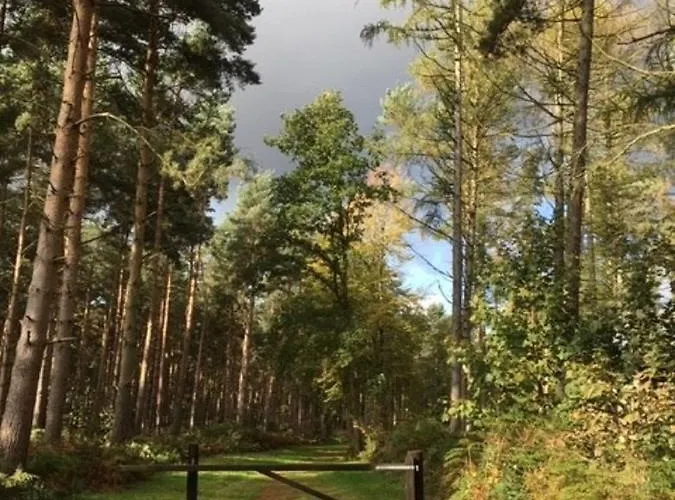 롯지 Hollicarrs - Newlands