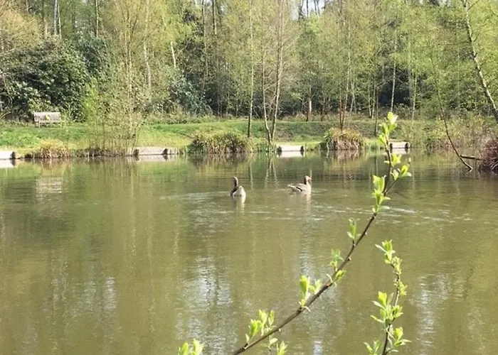 롯지 Hollicarrs - Newlands