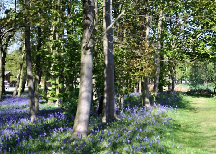 롯지 Hollicarrs - Newlands