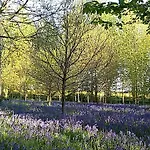 Hollicarrs - Newlands York