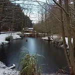 Chata Hollicarrs - Newlands York