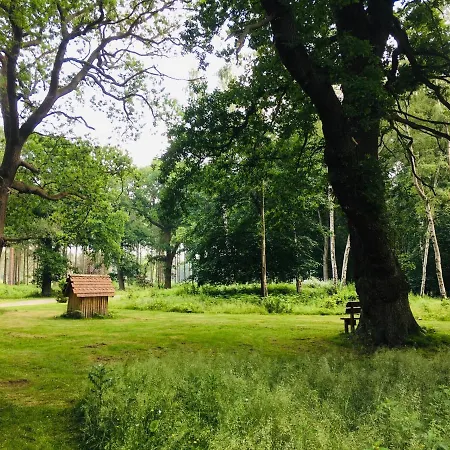 Hollicarrs - Newlands York