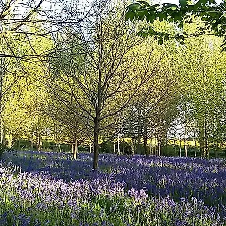 Hollicarrs - Newlands York