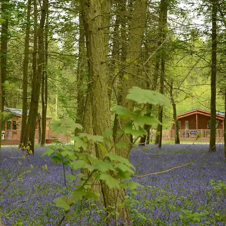 Lodge Hollicarrs - Newlands *