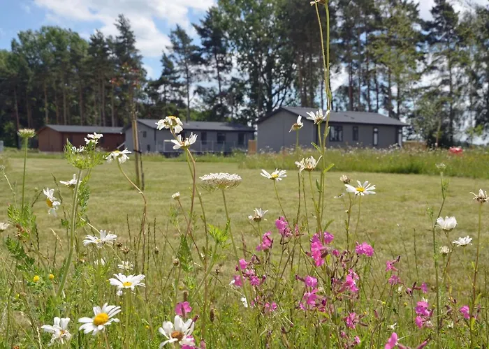 Hollicarrs - Newlands * York