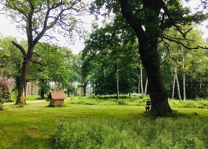 Hollicarrs - Newlands York