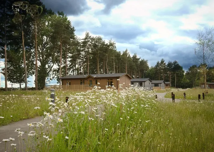 Hollicarrs - Newlands Lodge *