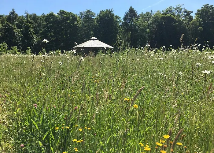 Hollicarrs - Newlands *