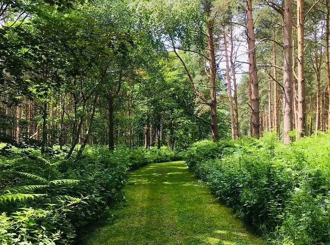 Lodge Hollicarrs - Newlands