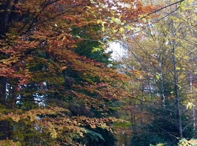 Lodge Hollicarrs - Newlands York